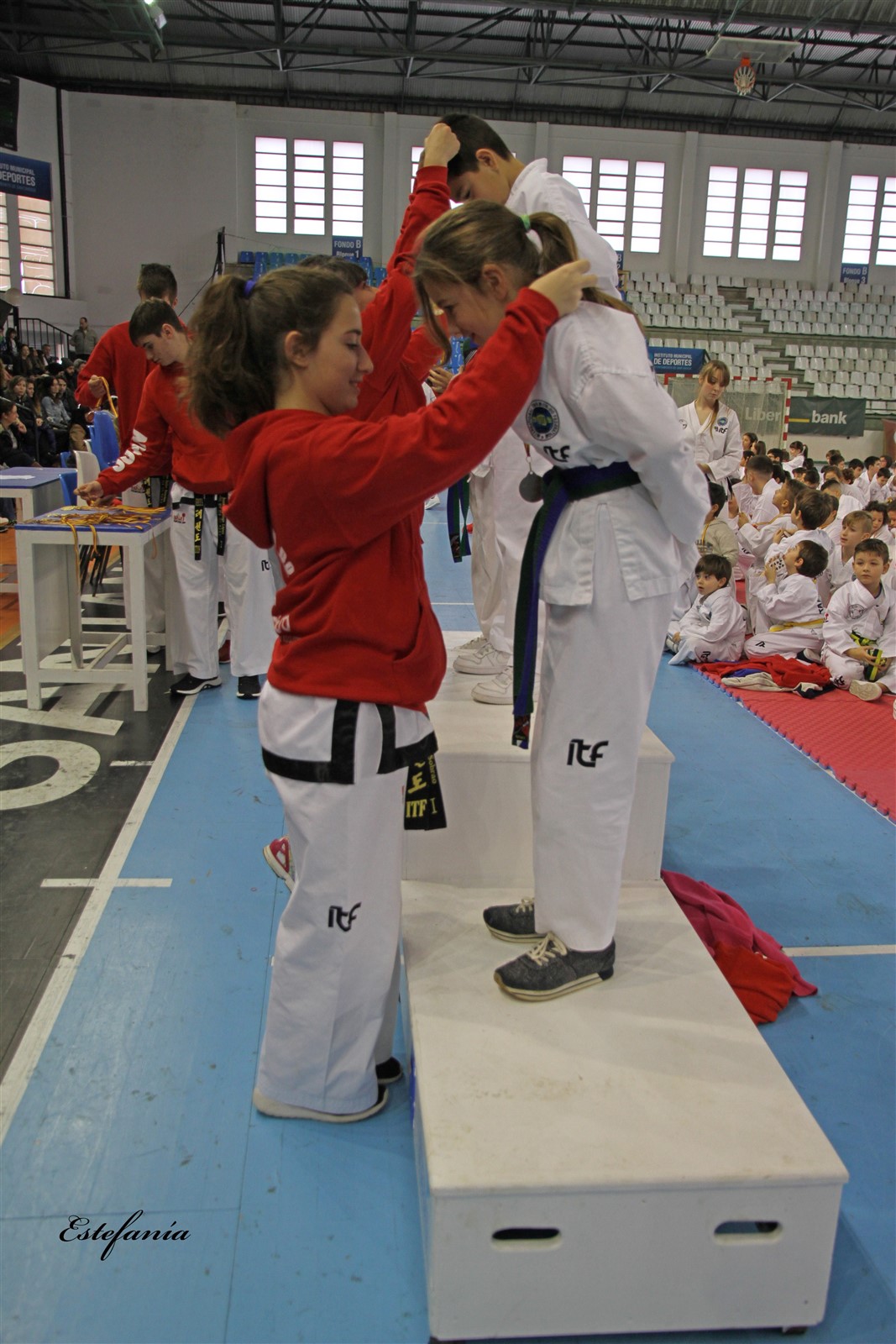 Taekwondo (257).jpg
